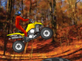 Quad Extreme Racer грати онлайн