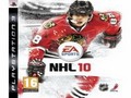 NHL 10 Jigsaw грати онлайн