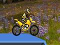 Hillblazer FMX грати онлайн