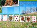 Animal Planet Solitaire грати онлайн